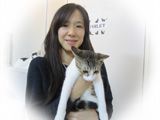 東京キャットガーディアン 里親を待っている猫たち