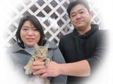 東京キャットガーディアン　里親を待っている猫たち