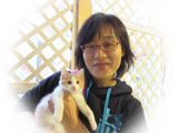 東京キャットガーディアン　里親を待っている猫たち