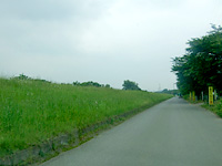 �V�F���^�[ �C���[�W