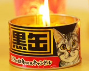 ���ʃL�����h��